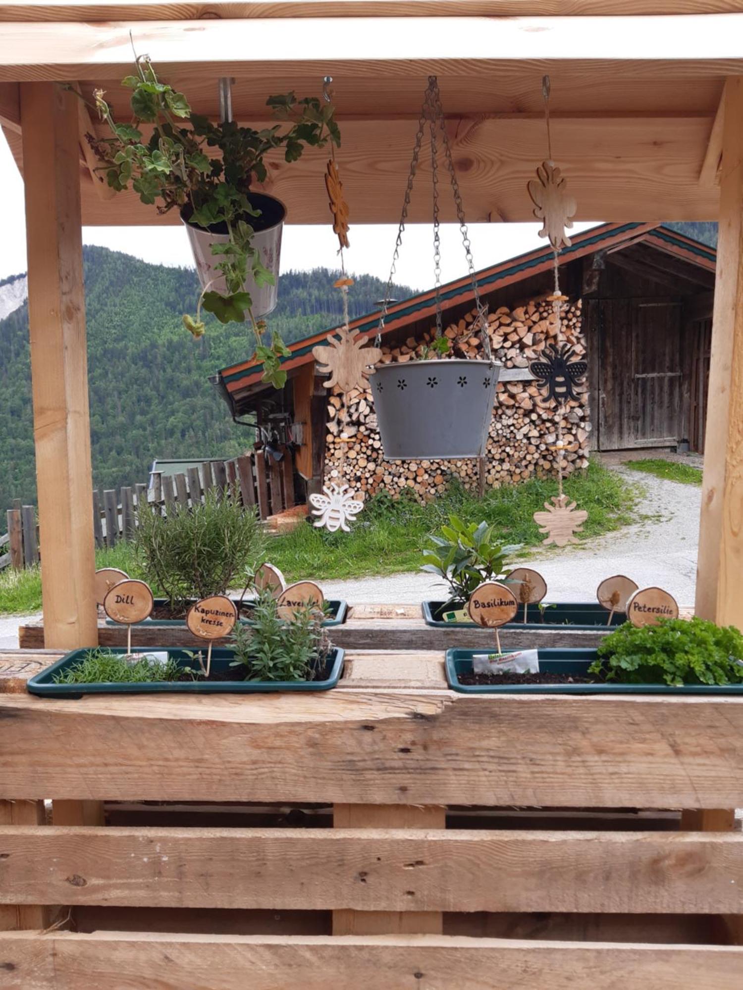Ferienhaus Lechnerhof Schladming Exterior foto